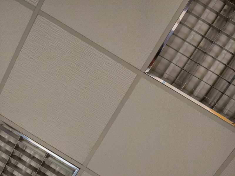 Ceiling Replacement