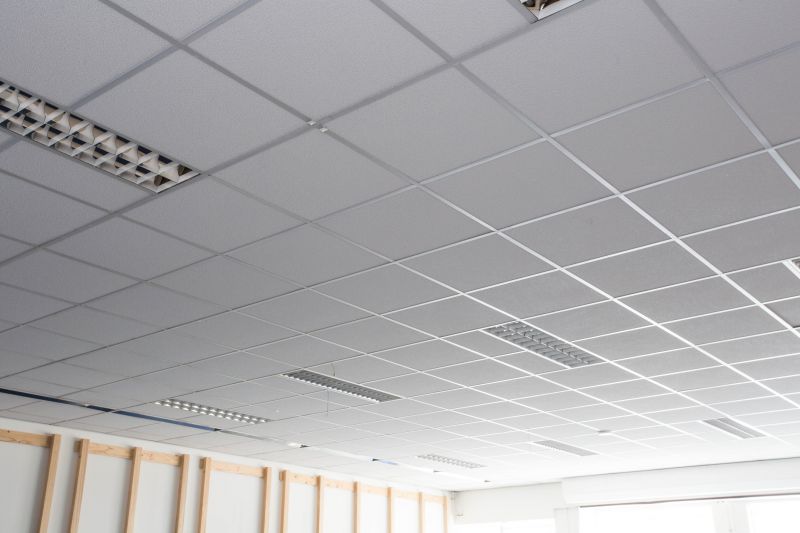 Ceiling Replacement