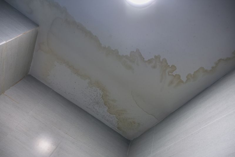 Ceiling Repair and Replacement